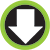 icon download sm